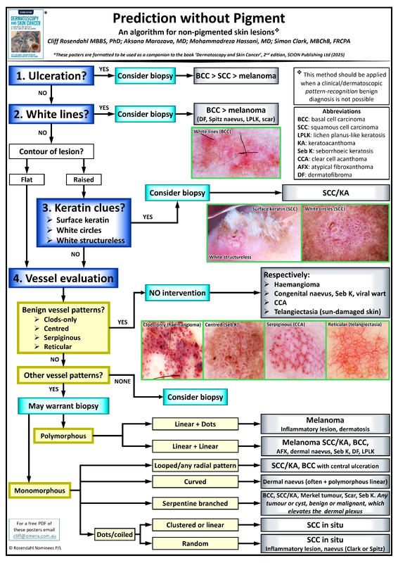 Thumbnail of Prediction Without Pigment poster by Professor Cliff Rosendahl